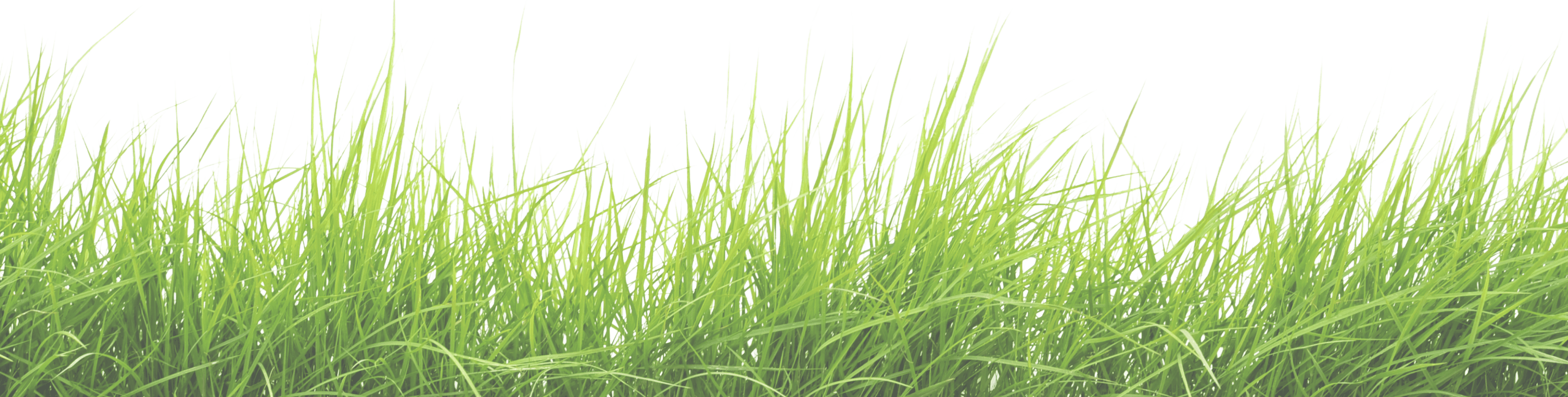 green-mask-grass