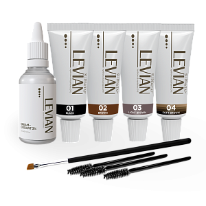 Набор краски Levian №1, (4 краски, оксид, щёточки, кисть), 1 шт.
